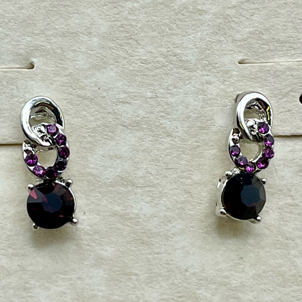 Elegant Silver and Purple Earrings